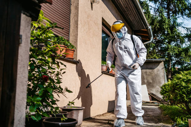 Best Commercial Pest Control Services  in Black Forest, CO
