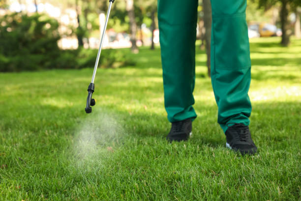 Best Flea Control Services  in Black Forest, CO