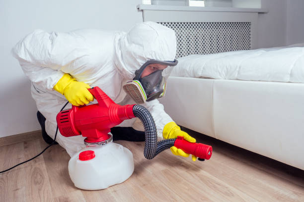 Best Rat Extermination Near Me  in Black Forest, CO