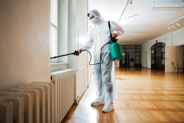 Best Local Pest Control Services  in Black Forest, CO