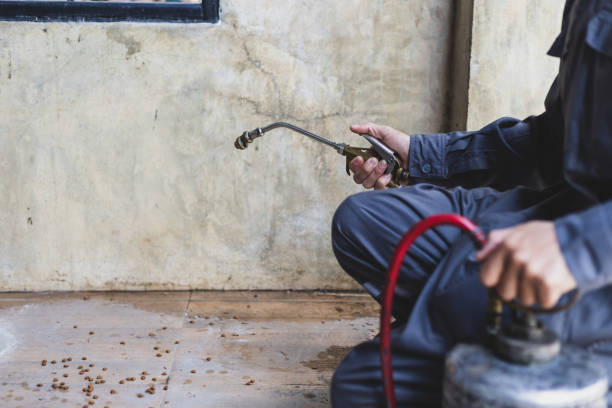 Best Pest Removal Services  in Black Forest, CO