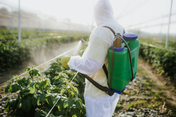 Best Local Pest Control Services  in Black Forest, CO